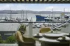 128 Flinders Street, Beauty Point, Tas 7270-Image