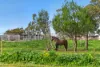 128 Moores Road, Auburn SA 5451-Image
