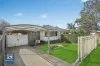 128 Parliament Road, Macquarie Fields, NSW 2564-Image