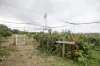 1283 Western River Road, Western River, SA 5223-Image