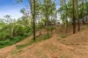 1287 Kurmond Road, Kurmond, NSW 2757-Image