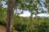 1287 Kurmond Road, Kurmond, NSW 2757-Image