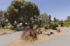129 Campbell Street, Cuballing, WA 6311-Image