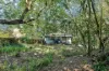 129 Dixon Street, Sunnybank, Qld 4109-Image