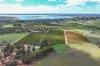 129 Evans Road, Barmera SA 5345-Image