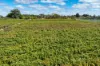 129 Evans Road, Barmera SA 5345-Image