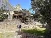 129 Jerrang Street, Indooroopilly, Qld 4068-Image