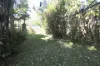 129 Laurel Avenue, Lismore, NSW 2480-Image