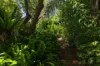 129 Richmond Hill Road, Richmond Hill, NSW 2480-Image