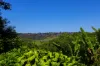 129 Richmond Hill Road, Richmond Hill, NSW 2480-Image