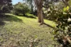 129 Whale Beach Road, Avalon Beach, NSW 2107-Image