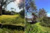 129 Whale Beach Road, Avalon Beach, NSW 2107-Image