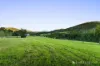 129 Whelans Road, Healesville, Vic 3777-Image