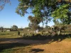 1295 Fogden Road, Taplan, Loxton SA 5333-Image