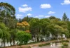 12B The Terrace, Windsor, NSW 2756-Image