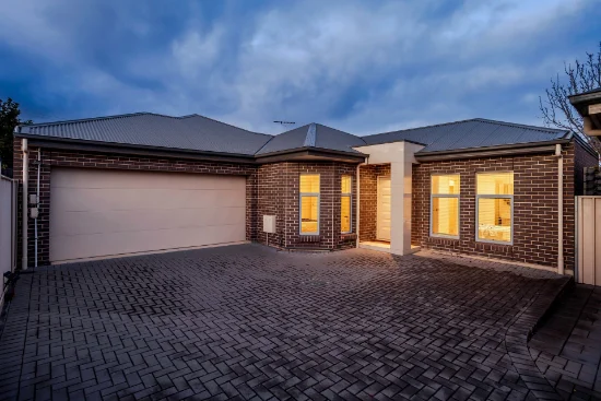 12D Lucas Street, Richmond, SA 5033