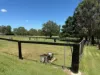 13-17 Day Road, Gleneagle, Qld 4285-Image