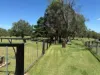 13-17 Day Road, Gleneagle, Qld 4285-Image