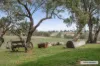 13, 465 Tallarook-Pyalong Road, Tallarook, Vic 3659-Image