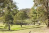 13 Angell Place, Banks, ACT 2906-Image