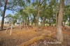 13 Autumn Approach, Forrestfield, WA 6058-Image