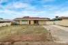 13 Banksia Crescent, Craigmore, SA 5114-Image