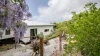 13 Bayview Close, Agnes Water, Qld 4677-Image