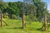 13 Beattie Lane, Lochiel, NSW 2549-Image