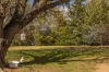 13 Beltana Road, Pialligo, ACT 2609-Image
