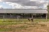 13 Beltana Road, Pialligo, ACT 2609-Image
