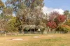 13 Beltana Road, Pialligo, ACT 2609-Image