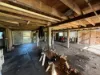 13 Bombala Street, Mourilyan, Qld 4858-Image