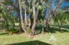13 Broadway, Pelican Point, WA 6230-Image