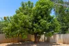 13 Brown Court, Cable Beach, WA 6726-Image