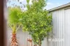 13 Browning Crescent, Parafield Gardens, SA 5107-Image