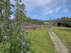 13 Cameron Street, St Marys, Tas 7215-Image