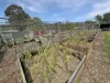 13 Cameron Street, St Marys, Tas 7215-Image