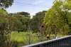 13 Carlyle Crescent, Mont Albert, Vic 3127-Image