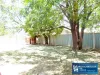 13 Carney Street, Newman, WA 6753-Image