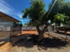 13 Carpenter Street, Exmouth WA 6707-Image