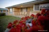13 Catherine Street, Castletown, WA 6450-Image