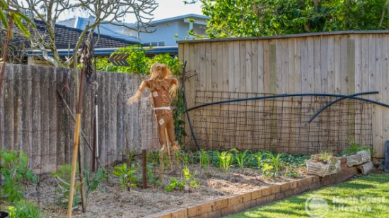 13 Cedar Crescent, East Ballina, NSW 2478-Image