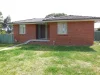13 Cedar Crescent, Forbes NSW 2871-Image