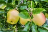 13 Cemetery Road, Dover, Tas 7117-Image