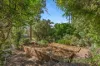 13 Coles Place, Torrens, ACT 2607-Image