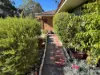13 Conifer Court, Collie, WA 6225-Image