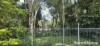 13 Cooya Beach Road, Cooya Beach, Qld 4873-Image