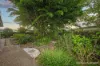 13 Cordyline Circuit, Bohle Plains, Qld 4817-Image