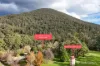 13 Dammans Road, Warburton, Vic 3799-Image