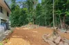 13 Douglas Track Road, Kamerunga, Qld 4870-Image